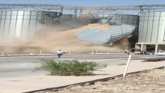 ▪️وزارة التجارة: استدعاء الشركة الألمانية المنفذة لمشروع سايلو الشطرة