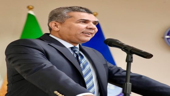حين يُصنع الجهل عمدًا
