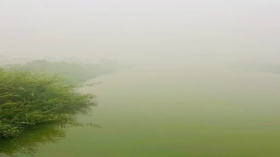 سحب دخانية تغطي قضاء الكحلاء بميسان صباحًا وتصاعد في التلوث الجوي بسبب حرق القصب في الأهوار.. هواء خانق يثير استياء السكان