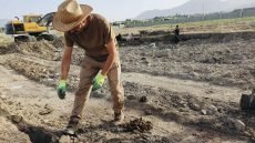 وزارة البيئة تعزز التعاون لتطهير الأراضي الملوثة بالألغام