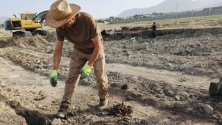 وزارة البيئة تعزز التعاون لتطهير الأراضي الملوثة بالألغام