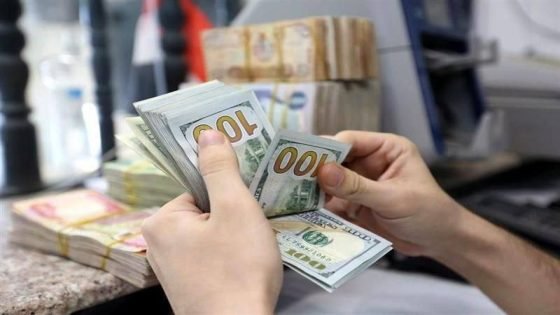 a person counting money