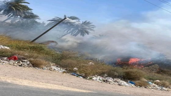 اندلاع حريق في بساتين زراعية بمنطقة هور رجب جنوبي بغداد