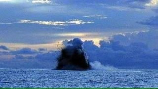 هل تعلم أن الحيتان قد تنفجر فعلًا بعد موتها؟”