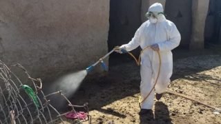 الصحة تسجل 296 إصابة بالحمى النزفية في العراق