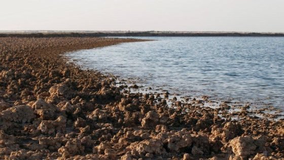 البيئة تحذر من استمرار انخفاض مناسيب بحيرة ساوة