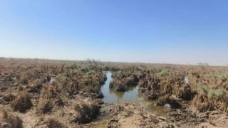 حجم الجفاف الكبير في الأهوار الوسطى بالعراق؛ بسبب تقليص تركيا لحصة المياه.