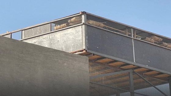 الداخلية في كربلاء المقدسة تمنع “المطيرچية” داخل الاحياء السكنية وغرامات قاسية بانتظار المخالفين