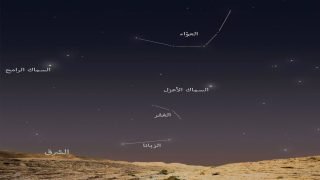 الوسم.. أجمل مواسم السنة على الأبواب