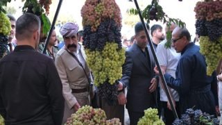 مهرجان العنب في رواندوز يسلط الضوء على المنتج المحلي