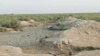 جفاف الأهوار يهدد الحياة جنوب العراق