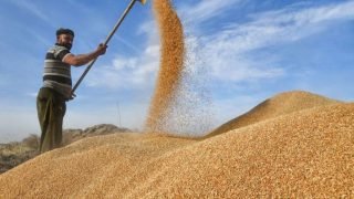الزراعة تبحث آليات بيع بذور الحنطة للموسم الزراعي المقبل