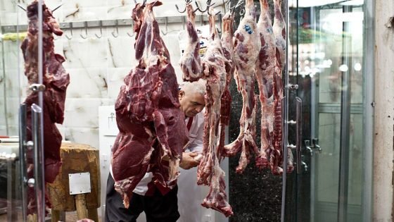 البيطرة تشكل فرق جوالة لمراقبة محال بيع اللحوم  