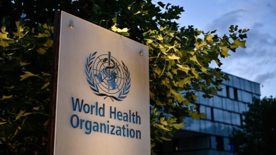 منظمة الصحة العالمية تنفذ أول عملية إجلاء طبي من غزة منذ بدء وقف إطلاق النار