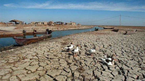 بحيرة الرزازة تواجه خطر الجفاف وسط تحذيرات من كارثة بيئية واقتصادية