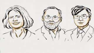 حصول العالمة “ماري برونكو” والعالمين “فريد رامسديل” و”شيمون ساكاجوتشي” على جائزة نوبل في الطب لعام 2025 تقديراً لأبحاثهم المتعلقة بالتحمل المناعي الطرفي.