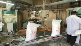 التجارة تحدد 6 أهداف استراتيجية لبيع الحنطة للمطاحن الأهلية