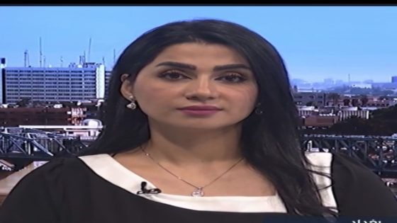 الحزب الديمقراطي الكردستاني ودوره المحوري بتشكيل الحكومات …