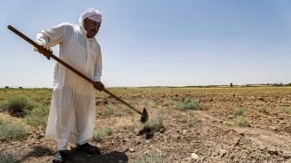 الزراعة تعلن تفاصيل الخطة الشتوية: 4.5 مليون دونم تعتمد على المياه الجوفية والري الحديث وسط استمرار أزمة الشحّ