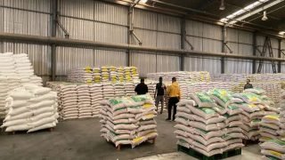 تركيا تشكّك بقدرة العراق على تحقيق الاكتفاء الذاتي من الدقيق وسط تحديات إنتاجية وتجارية