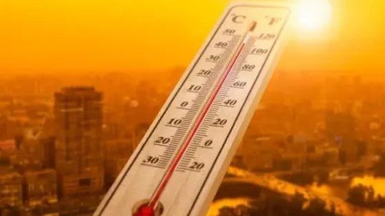 دراسة: موجات الحر ستستمر لألف عام حتى بعد الوصول إلى “الصفر الصافي” للكربون