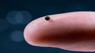 علماء في سويسرا يبتكرون روبوتًا أصغر من حبة الرمل ينقل الدواء إلى الموقع المطلوب في الجسم عبر مجرى الدم