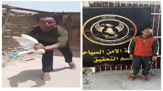القوات الامنية ببغداد تعتقل شخصاً ظهر في مقطع فيديو وهو يعذب الطيور بـ”طريقة وحشية”