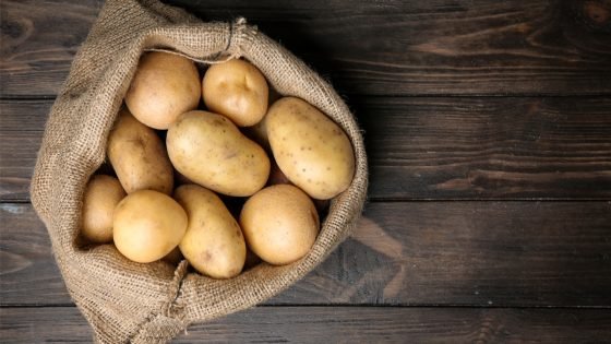 البطاطا تدخل عالم التجميل… مشروع علمي يبحث تحويل مخلفاتها إلى مكونات للعناية بالبشرة