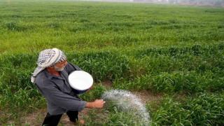 وزارة الزراعة تعلن منع استيراد 11 محصولاً وتحدد مساحة الخطة الزراعية للموسم الشتوي بأربعة ملايين ونصف المليون دونم