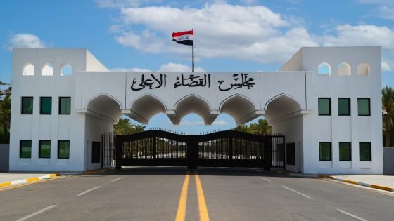 خبير قانوني: حسم الطعون يفتح الباب للمرحلة الدستورية الثانية 