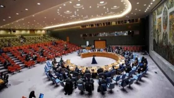 مجلس الأمن يمدد مهمة بعثة الأمم المتحدة في الكونغو الديمقراطية حتى نهاية 2026