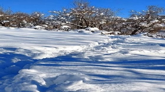 الثلوج تغطي منطقة كاني ماسي في دهوك