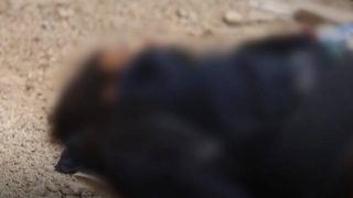 بعملية أمنية.. مقتل “أبو عمر شدّاد” والي تنظيم د١١عش في “حوران”.