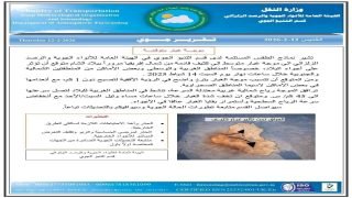 الأنواء الجوية: موجة غبارية كثيفة تجتاح العراق يوم السبت المقبل.