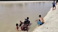 انتشال جثة شاب من نهر دجلة في الماجدية خلال وقت قياسي