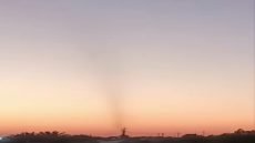 دخول حشرات بأعداد كبيره على شكل اعصار في محافظة ميسان 