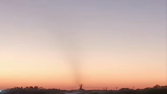 دخول حشرات بأعداد كبيره على شكل اعصار في محافظة ميسان 