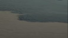 عاجل / تلوث مياه نهر دجلة في ميسان