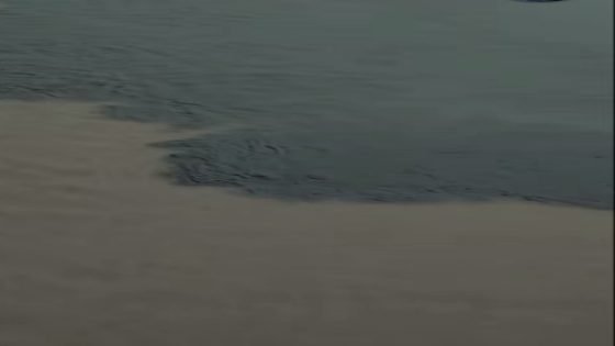 عاجل / تلوث مياه نهر دجلة في ميسان