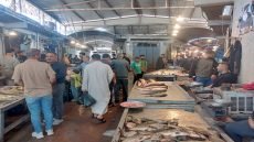 سوق السمك القديم في ميسان… ذاكرة مدينة ونبض رزق لا يهدأ