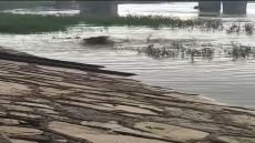 عاجل الآن.. نافورة من المياه الآسنة تلوّث نهر دجلة قرب كورنيش الصابئة المندائيين في العمارة