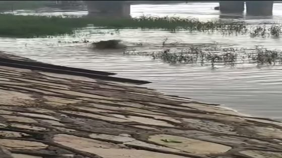 عاجل الآن.. نافورة من المياه الآسنة تلوّث نهر دجلة قرب كورنيش الصابئة المندائيين في العمارة