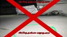 قيادة شرطة بغداد الرصافة تنفي هروب أسد في الراشدية وتؤكد أن الأخبار المتداولة والصور المنشورة عارية عن الصحة ومفبركة باستخدام الذكاء الاصطناعي