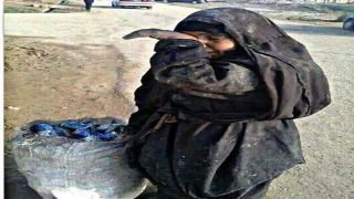 صولة الفجر مطالبات شعبية بمواصلة مكافحة الفساد وتعزيز الشفافية والمساءلة
