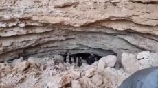سرٌّ مخفي تحت صحراء الأنبار.. أسماك نادرة بلا عيون!