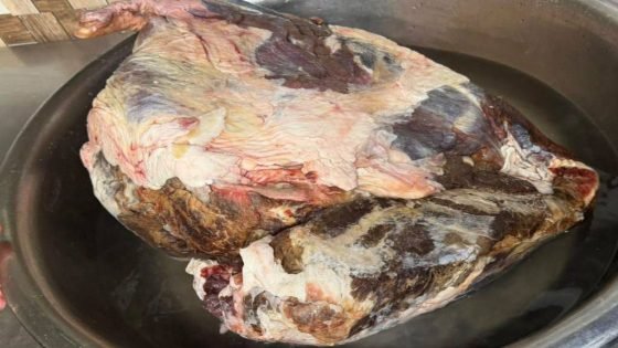 دائرة صحة الأنبار تغلق 3 محال وتتلف 30 كغم من اللحوم غير الصالحة للاستهلاك البشري في الرمادي.